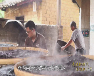 《走进新时代 发现新广西》介绍黄姚杨晋记豆豉